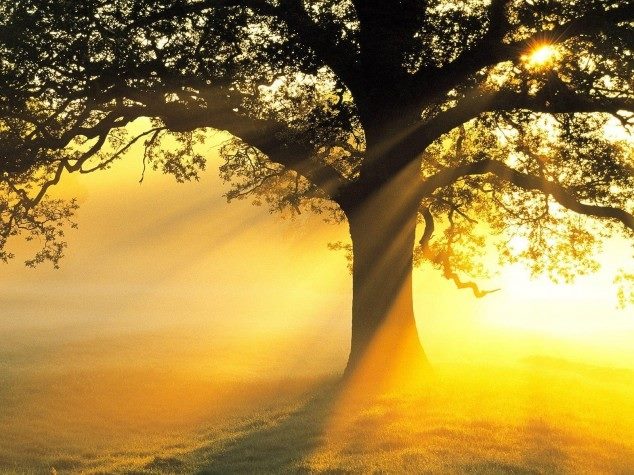 Tufandan və yağışdan sonra günəş çıxar..... (Çin atalar sözü)