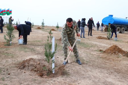 Ulu öndər Heydər Əliyevin 100 illik yubileyi ilə bağlı ağacəkmə aksiyası keçirilib