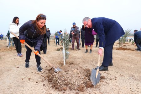 Ulu öndər Heydər Əliyevin 100 illik yubileyi ilə bağlı ağacəkmə aksiyası keçirilib