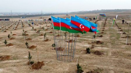 A tree-planting action dedicated to the 100th anniversary of national leader Heydar Aliyev took place