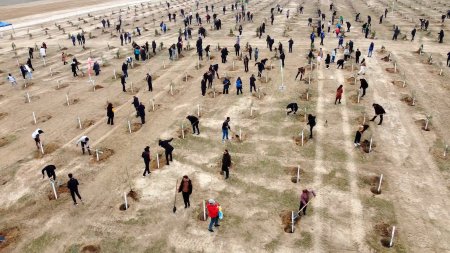 A tree-planting action dedicated to the 100th anniversary of national leader Heydar Aliyev took place