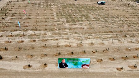 A tree-planting action dedicated to the 100th anniversary of national leader Heydar Aliyev took place