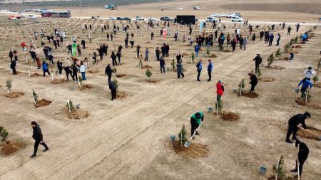 A tree-planting action dedicated to the 100th anniversary of national leader Heydar Aliyev took place