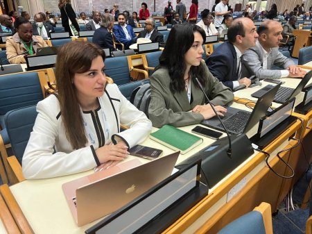 Azerbaijani delegation participates in the UN Civil Society Conference