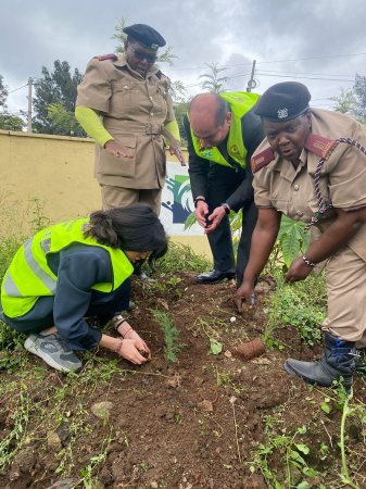 Azerbaijani NGOs participate in tree-planting campaign in Africa for first time